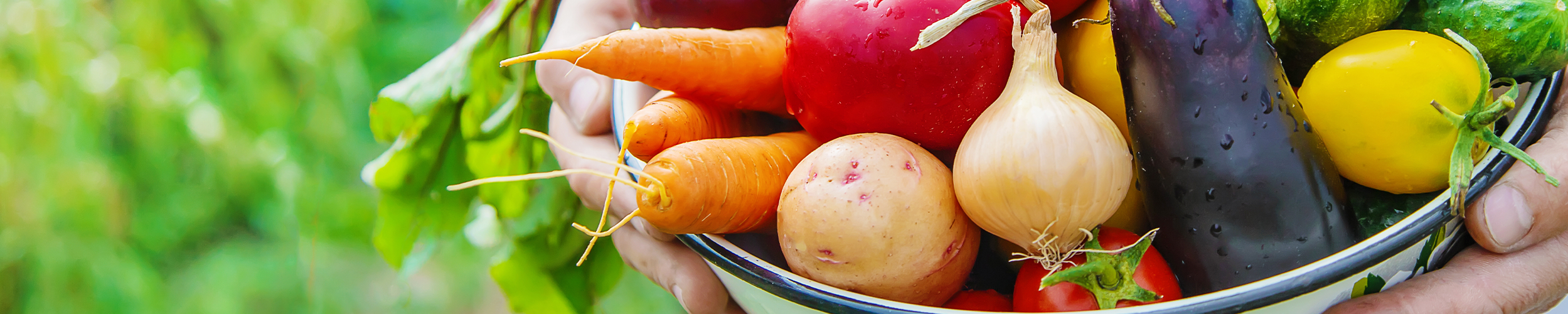 【業務用】青果の卸売について