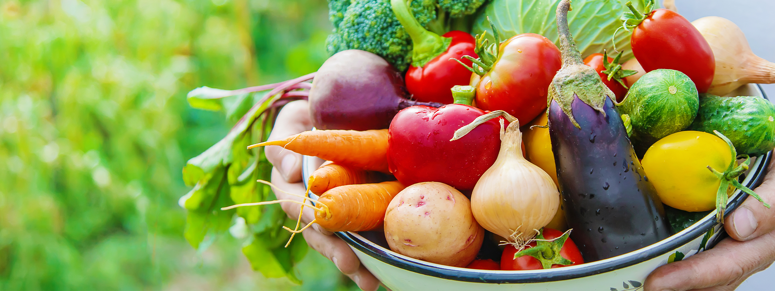 【業務用】青果の卸売について